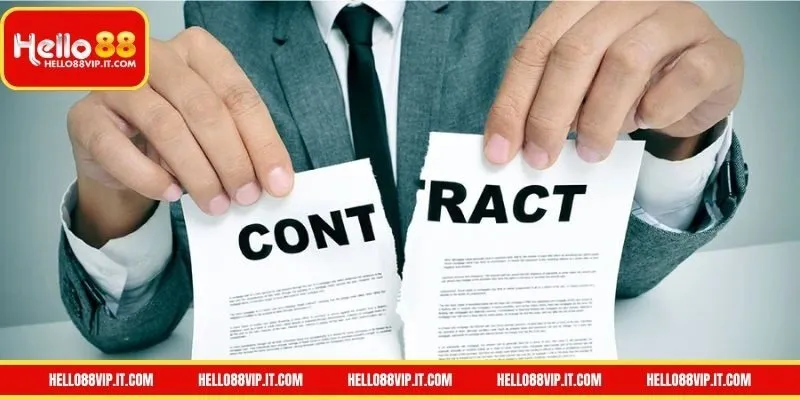 Quyền và nghĩa vụ của người chơi